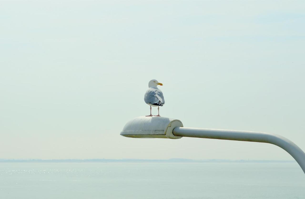 Belgische Loodsensocieteit Vlissingen Exterior foto